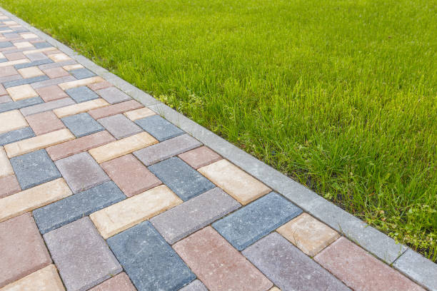 Best Local Driveway Pavers  in Ardmore, TN